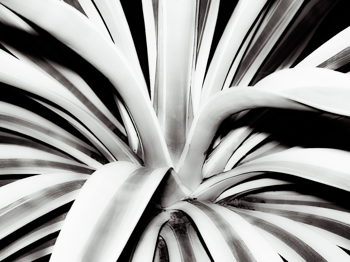  Untitled, 2025 (flash test) 