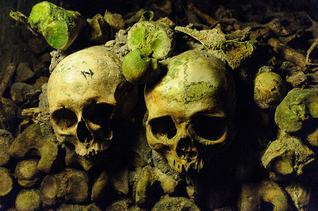 Catacombs, 2008