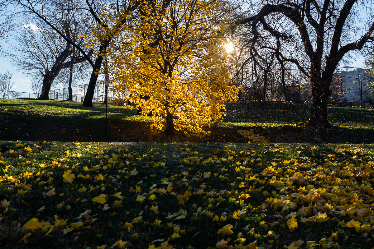  Washington, DC, 2013. 