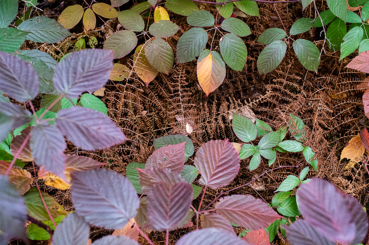  Minnewaska State Park, 2015. 