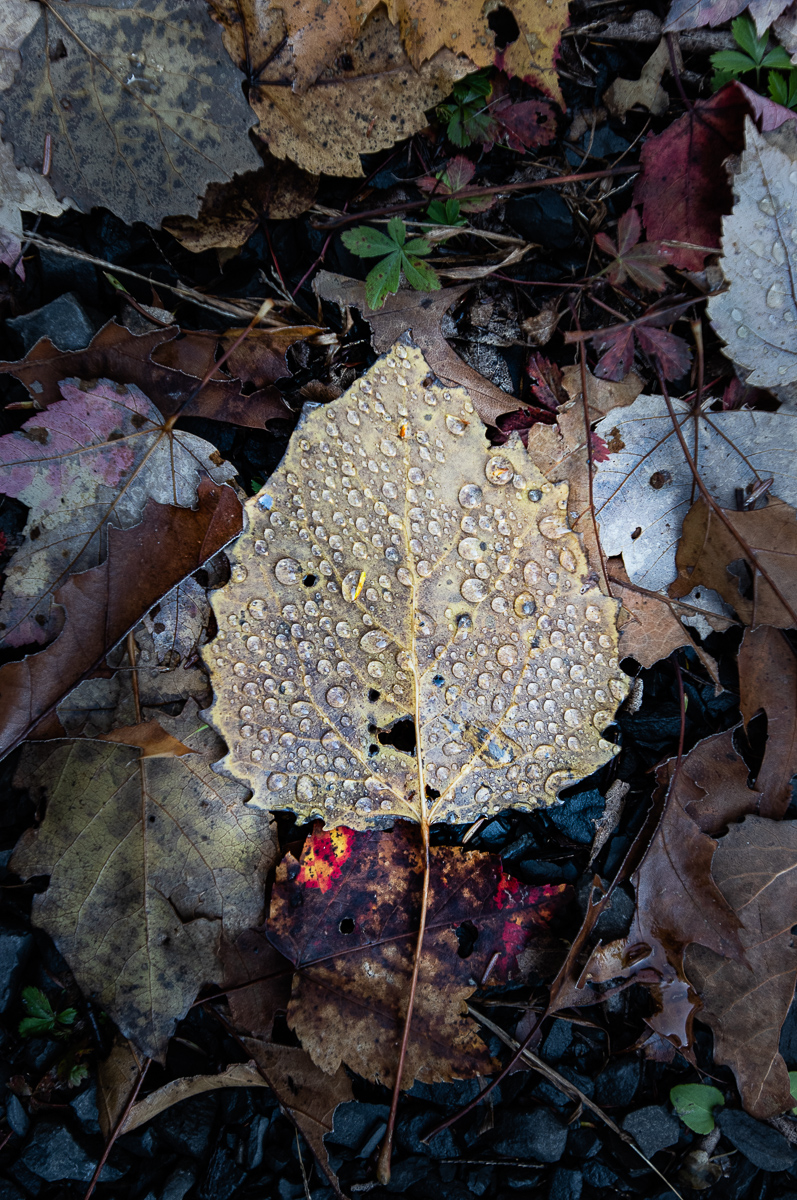  Minnewaska State Park, 2015. 