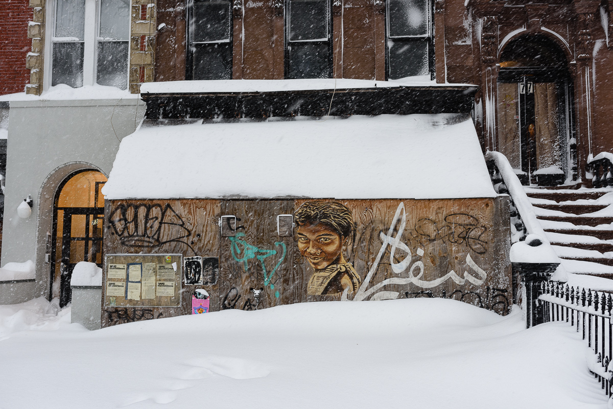  Snowstorm, Brooklyn, 2016. 