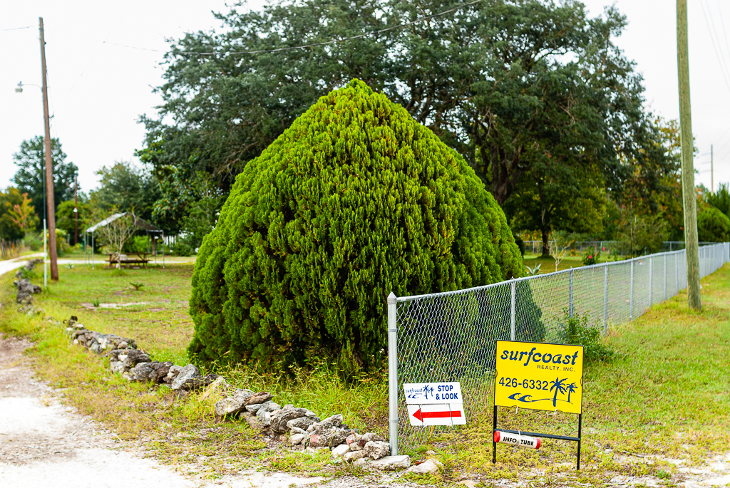  New Smyrna Beach, 2006. 