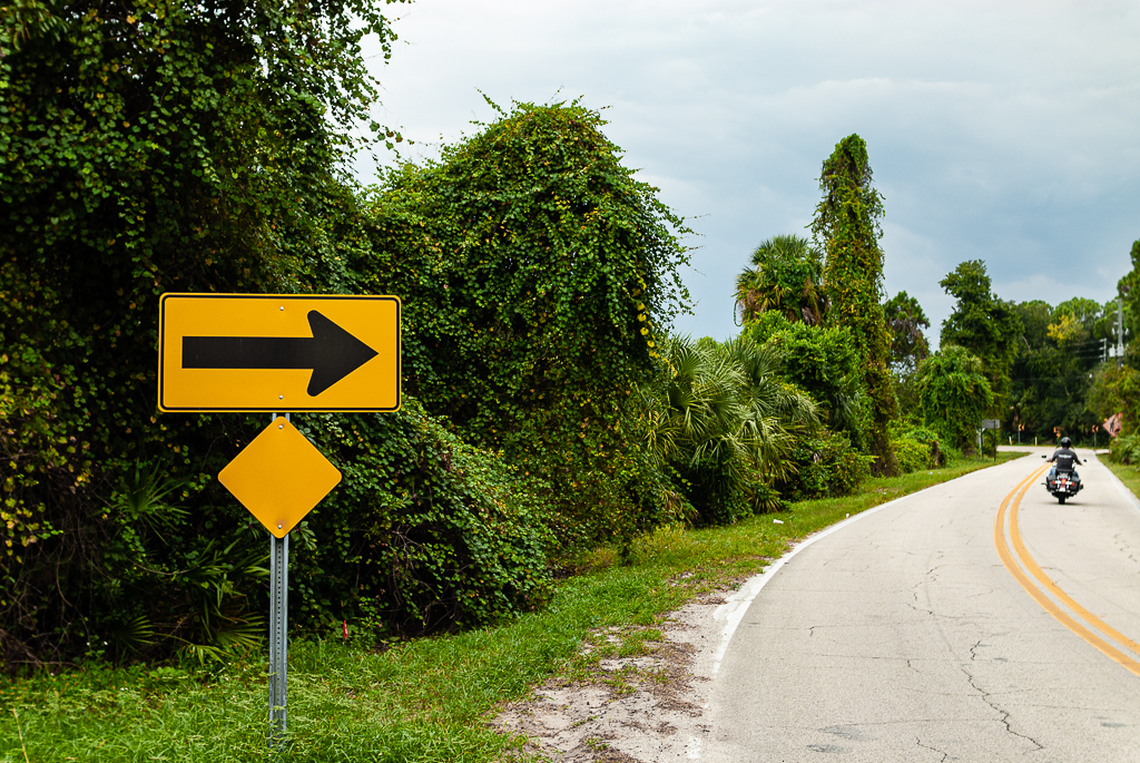 New Smyrna Beach, 2006. 