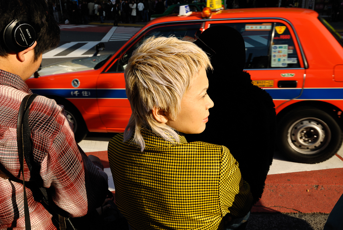  Around Hachiko (original), 2006 