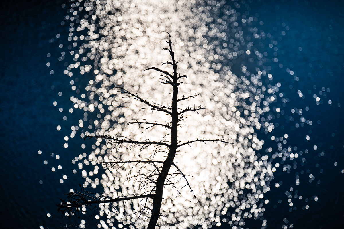  Fogo Island, Newfoundland, 2024. 