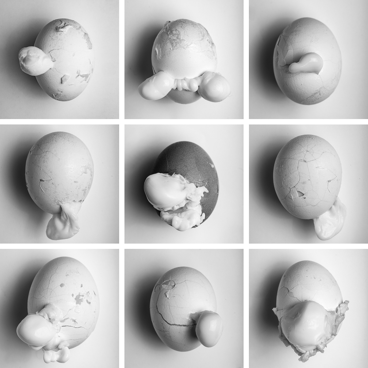  Untitled (Bloated Boiled Eggs, Egg Series), 2025 