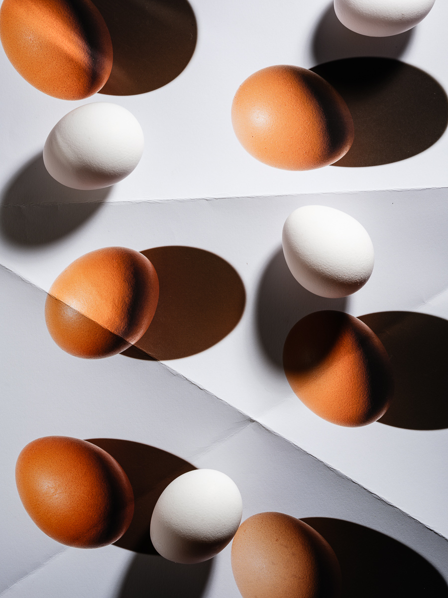  Eggs Series, 2025. 