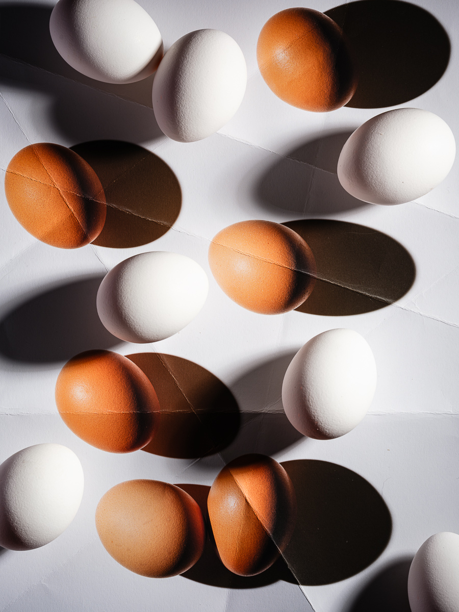  Eggs Series, 2026. 