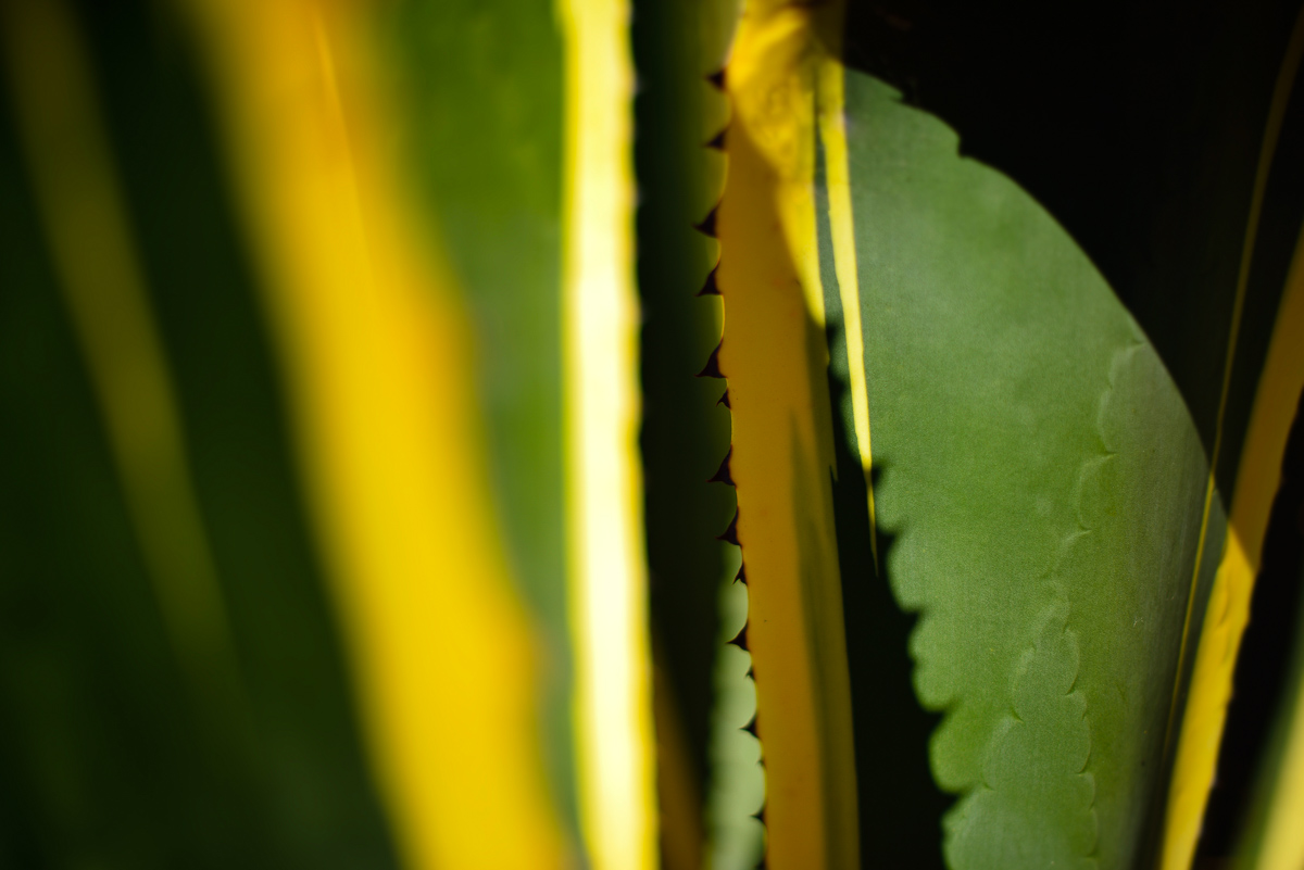  Grover Beach, CA, 2012 