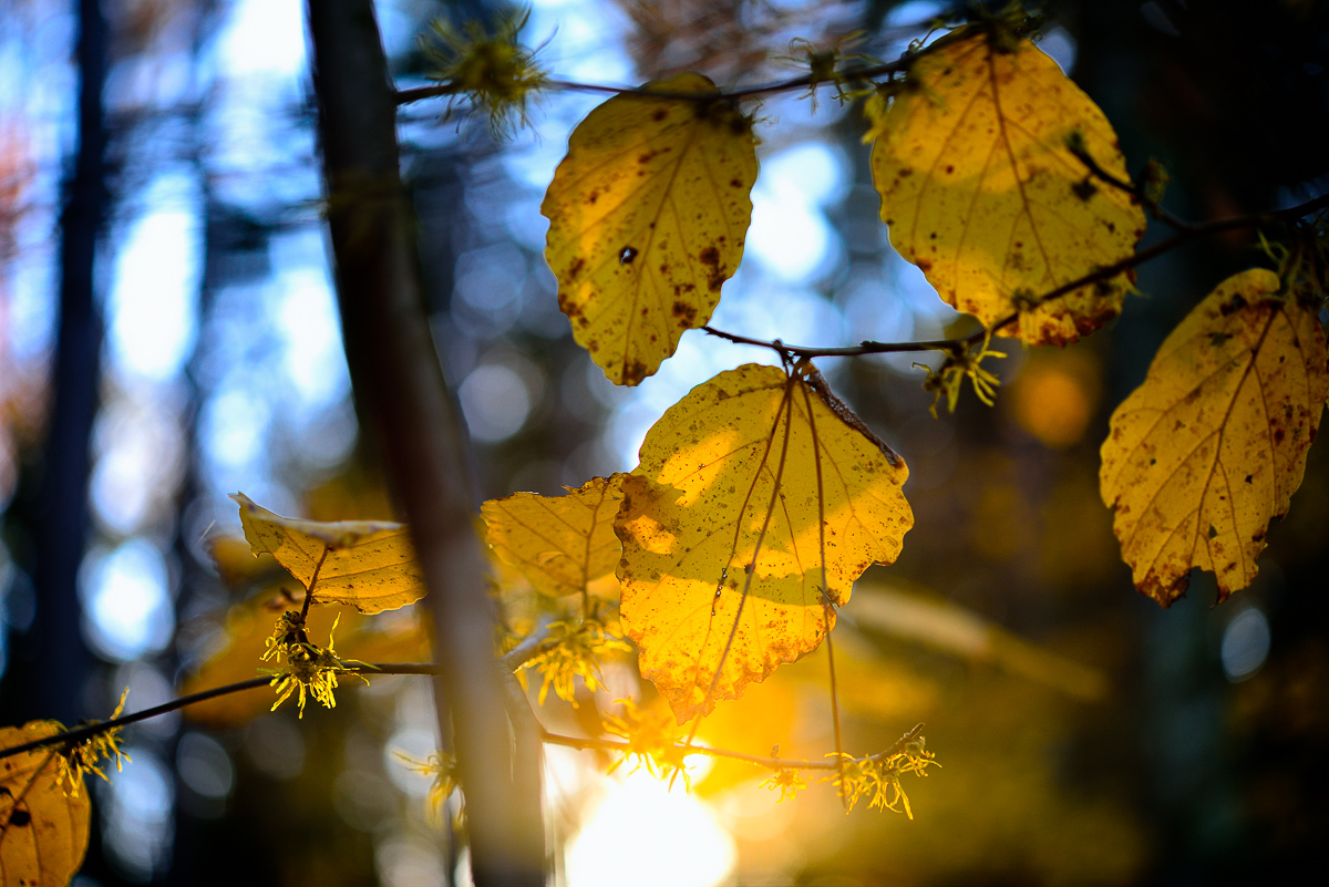  Minnewaska State Park, NY, 2012 