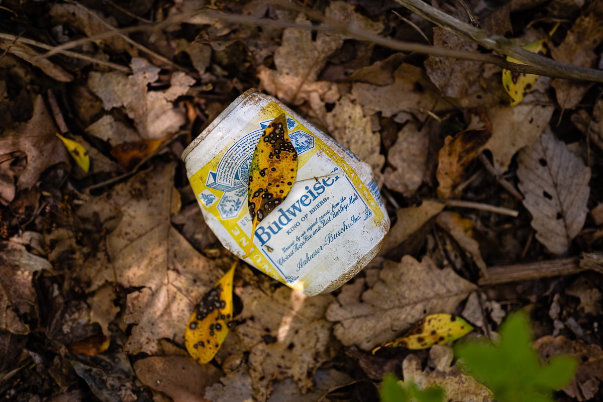  Harriman State Park, NY, 2020 