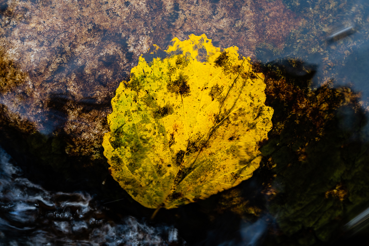  Minnewaska State Park, NY, 2020 