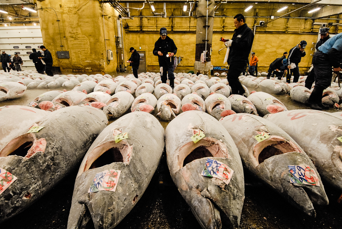  Tsukiji, 2006. 
