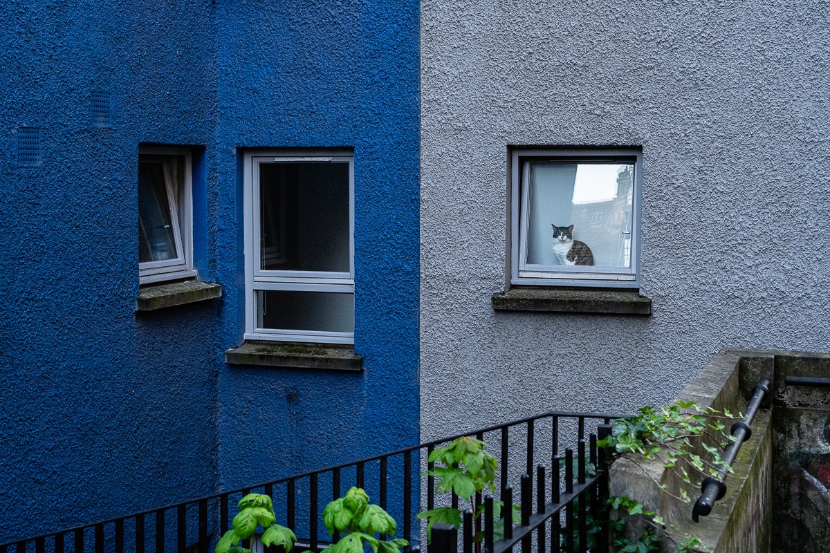  Edinburgh, 2019 