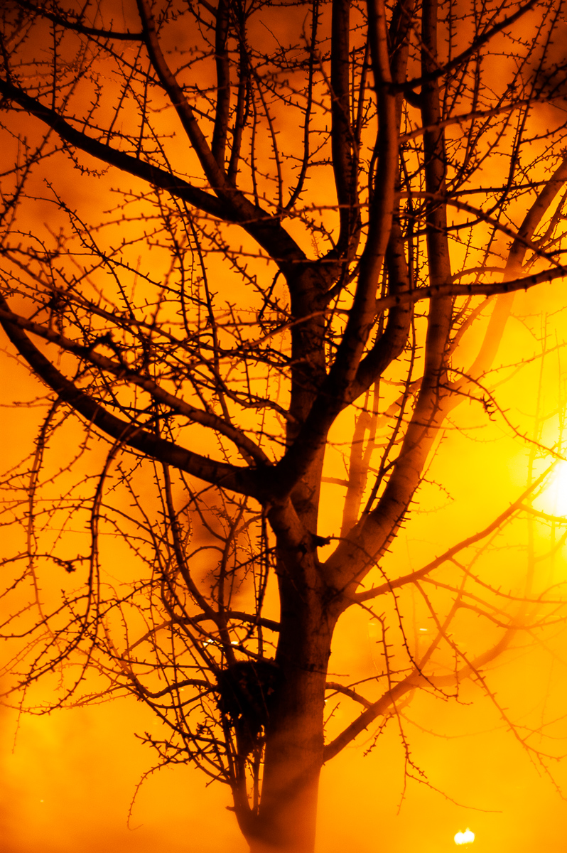  Washington, DC, 2004. 