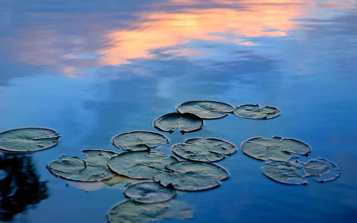  Hosmer Pond, Camden, ME, 2005 