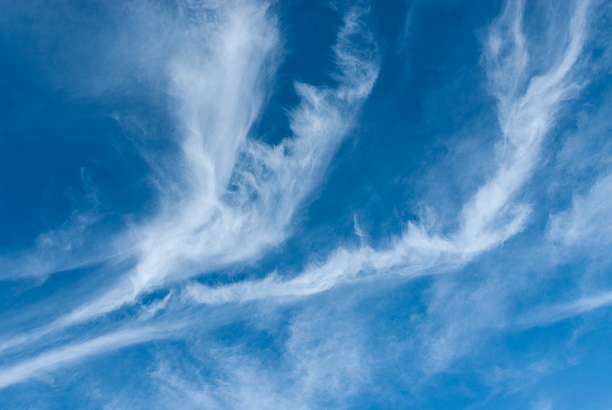  New Smyrna Beach, 2006. 