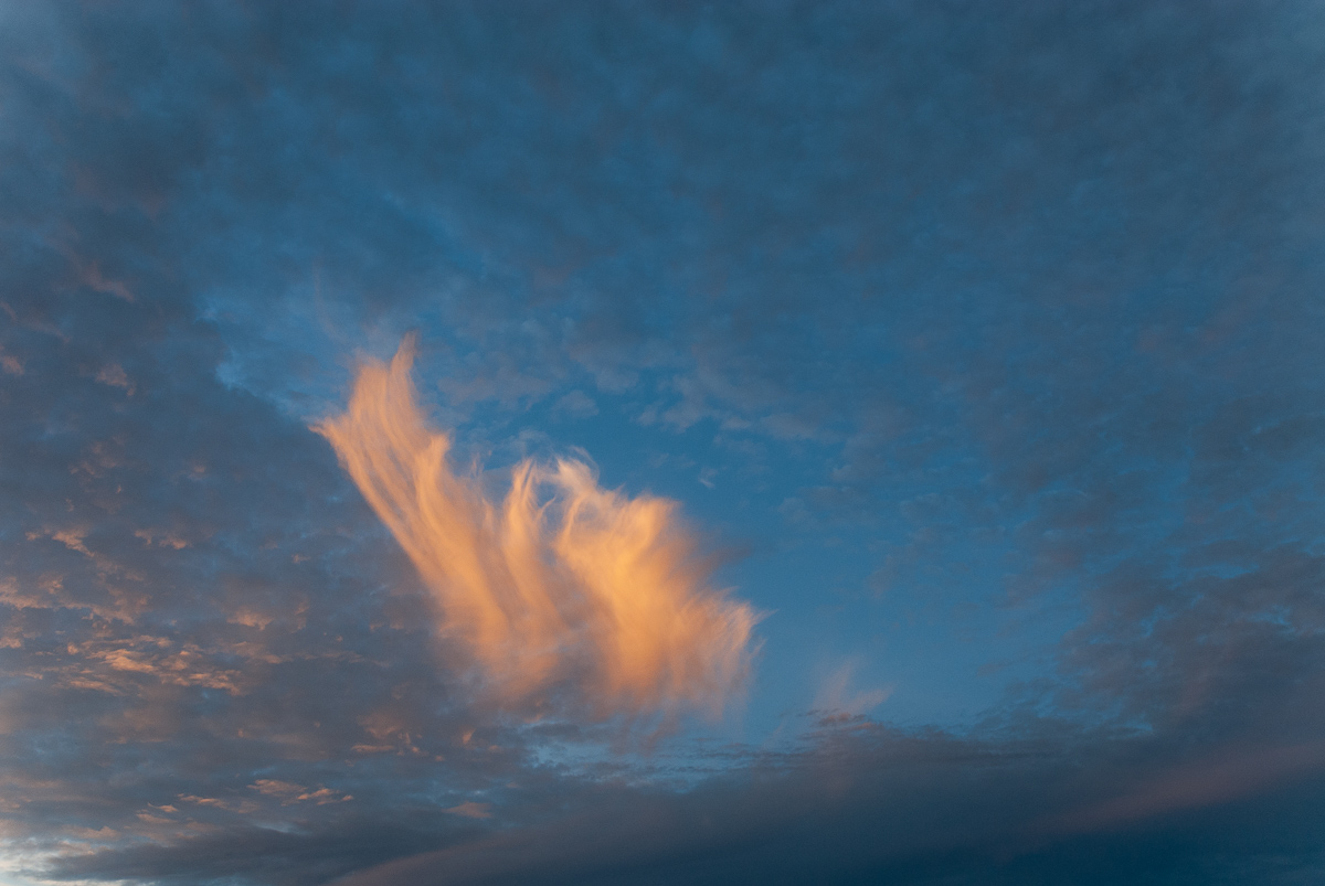  New Smyrna Beach, 2006. 