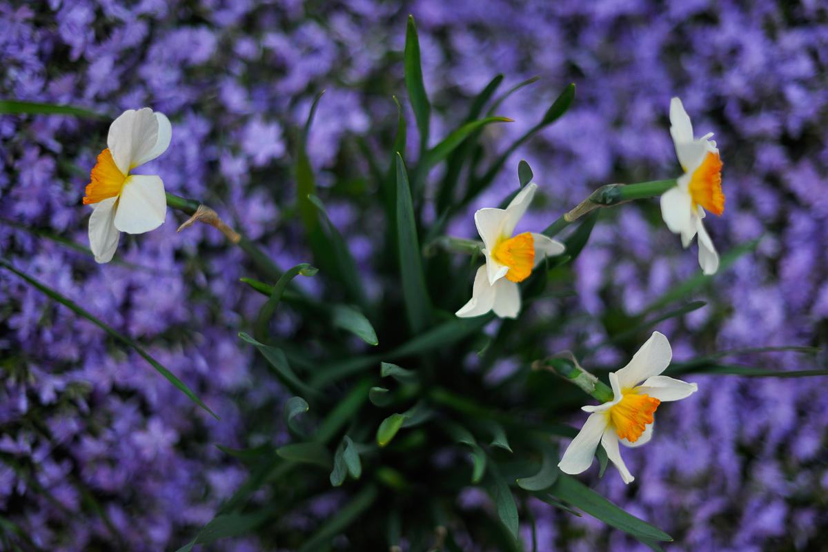  Washington, DC, 2011. 