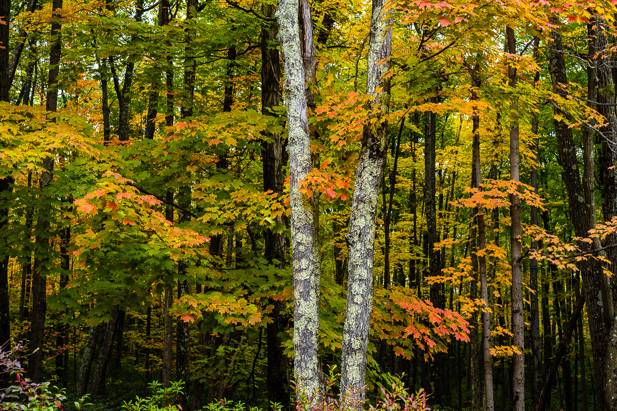  Minnewaska State Park, 2020. 