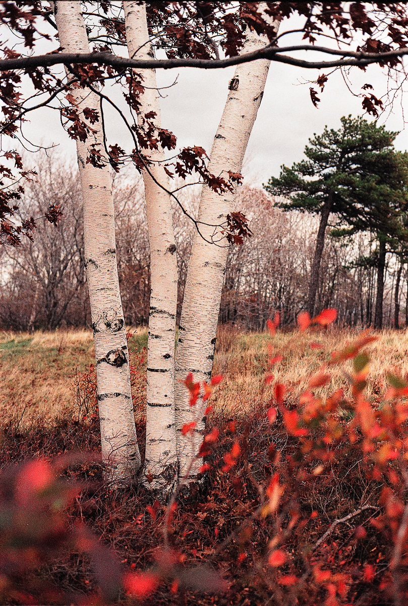  Minnewaska State Park, 2000. 