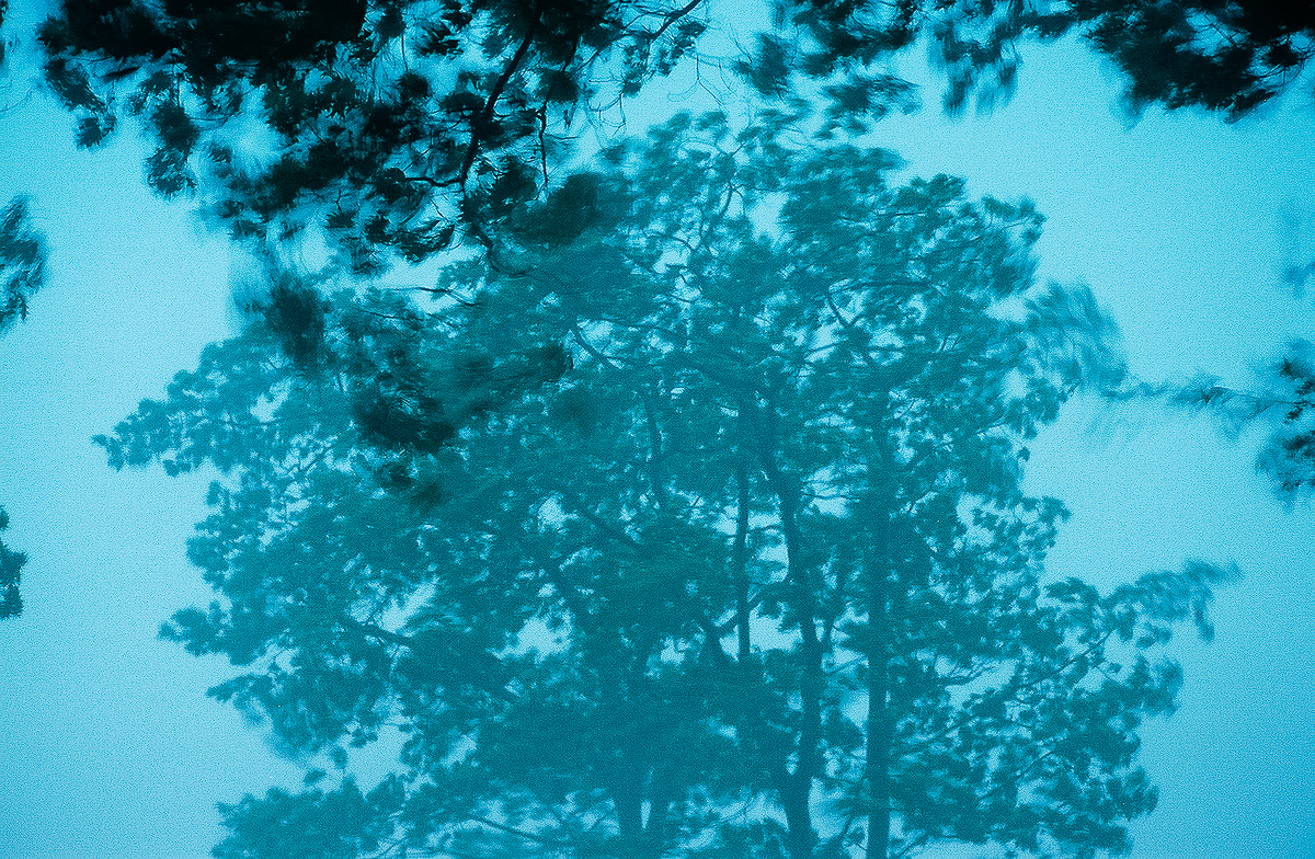  Cochecton, NY, 2002. 