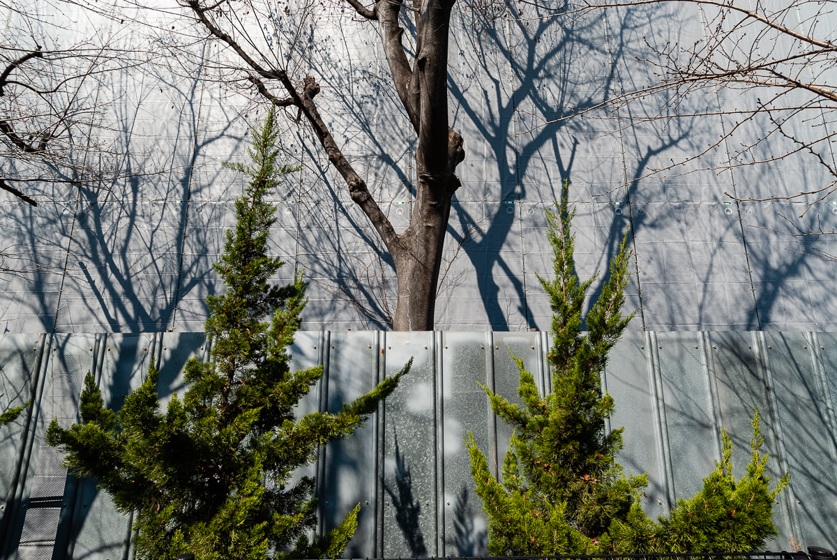  Ikejiri Ohashi, 2006. 