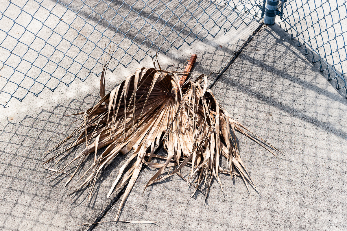  New Smyrna Beach, 2009. 