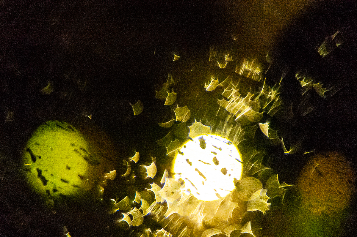  Raindrops + Bokeh, 2004. 