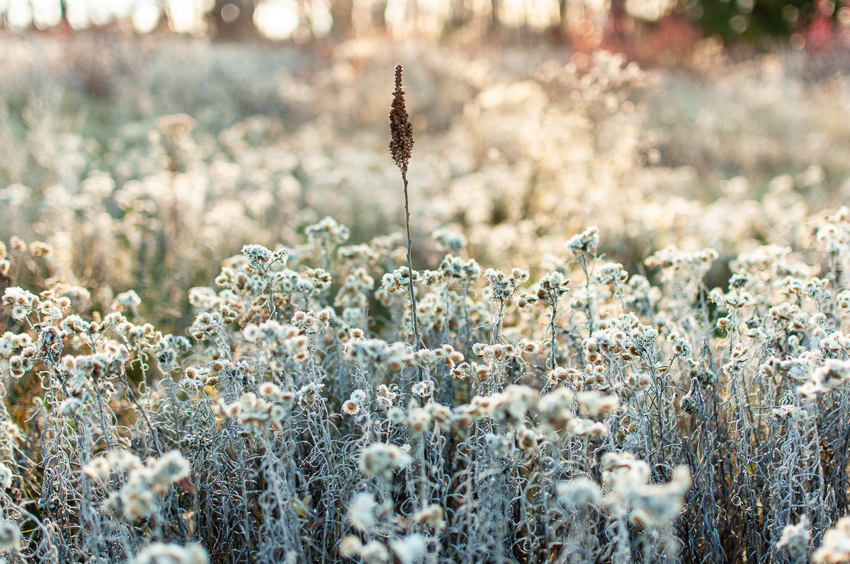  Minnewaska State Park, 2010. 