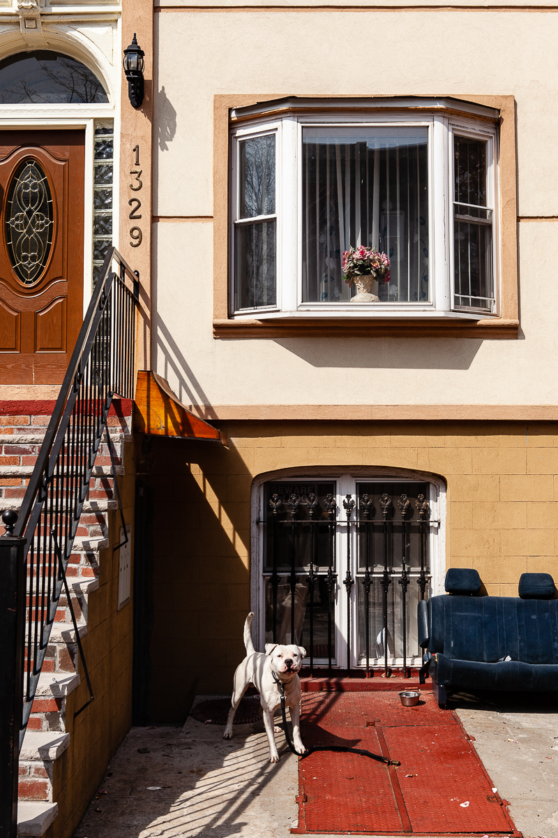  Crown Heights, 2010. 