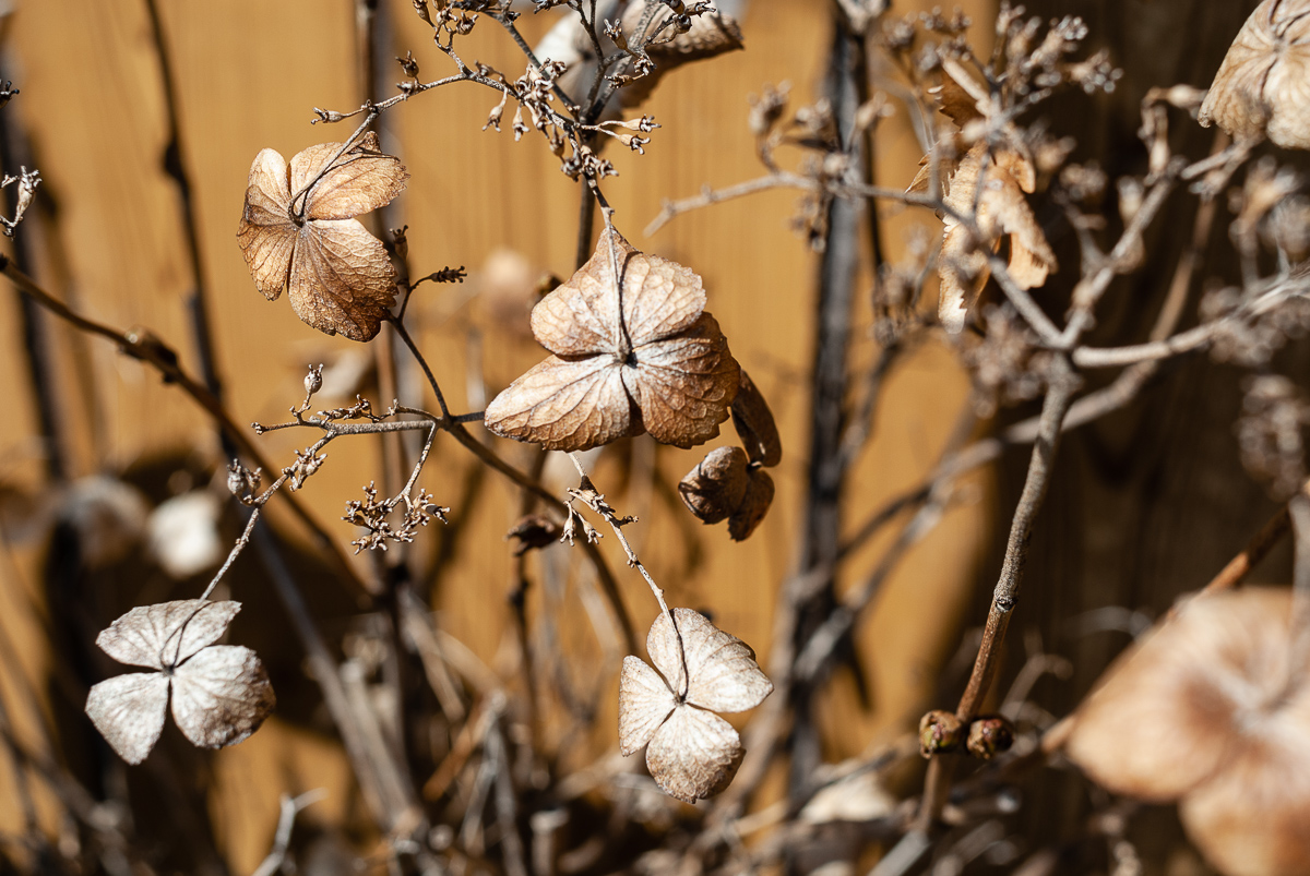  Fujigaoka, March 6, 2006 