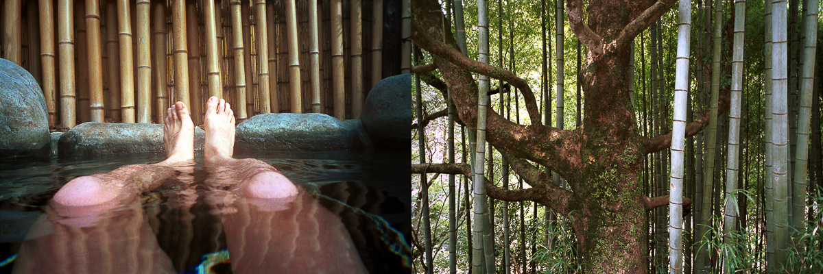  Bamboo Diptych, 2000. 
