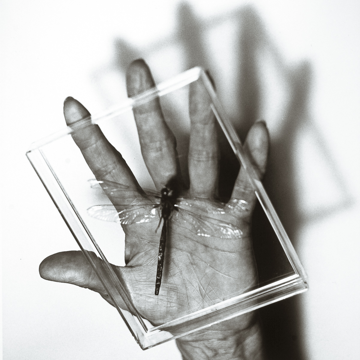  VH series individual prints 