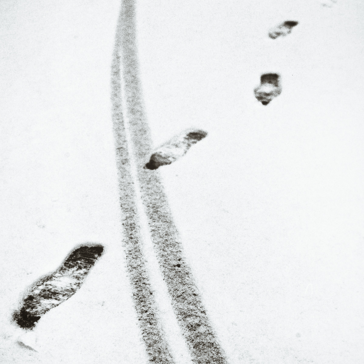  VH series individual prints 