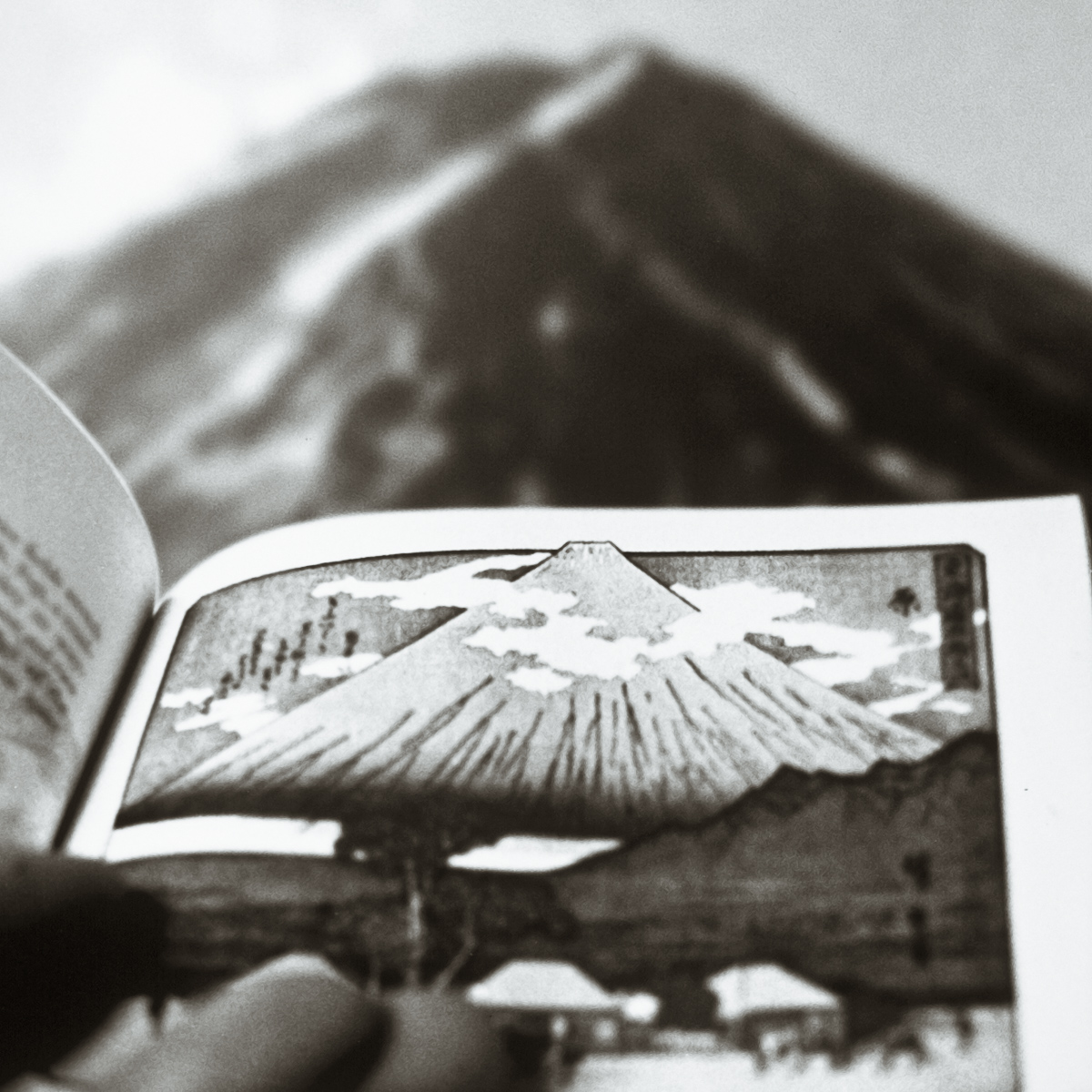  VH series individual prints 