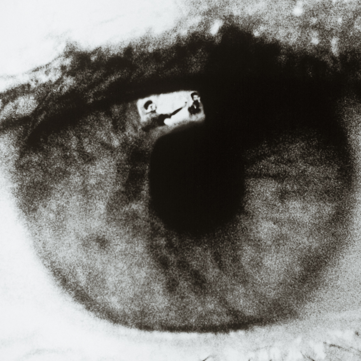  VH series individual prints 