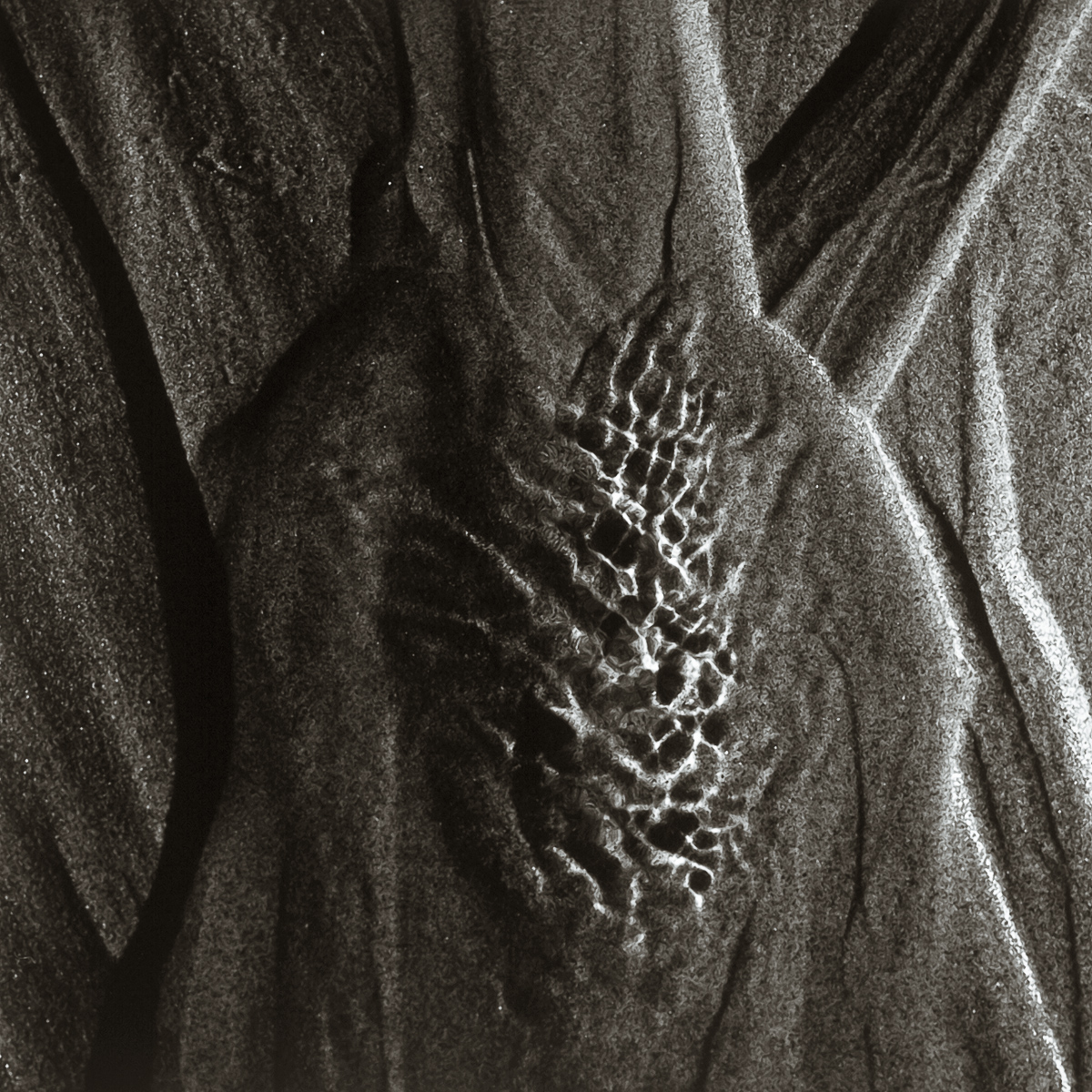  VH series individual prints 