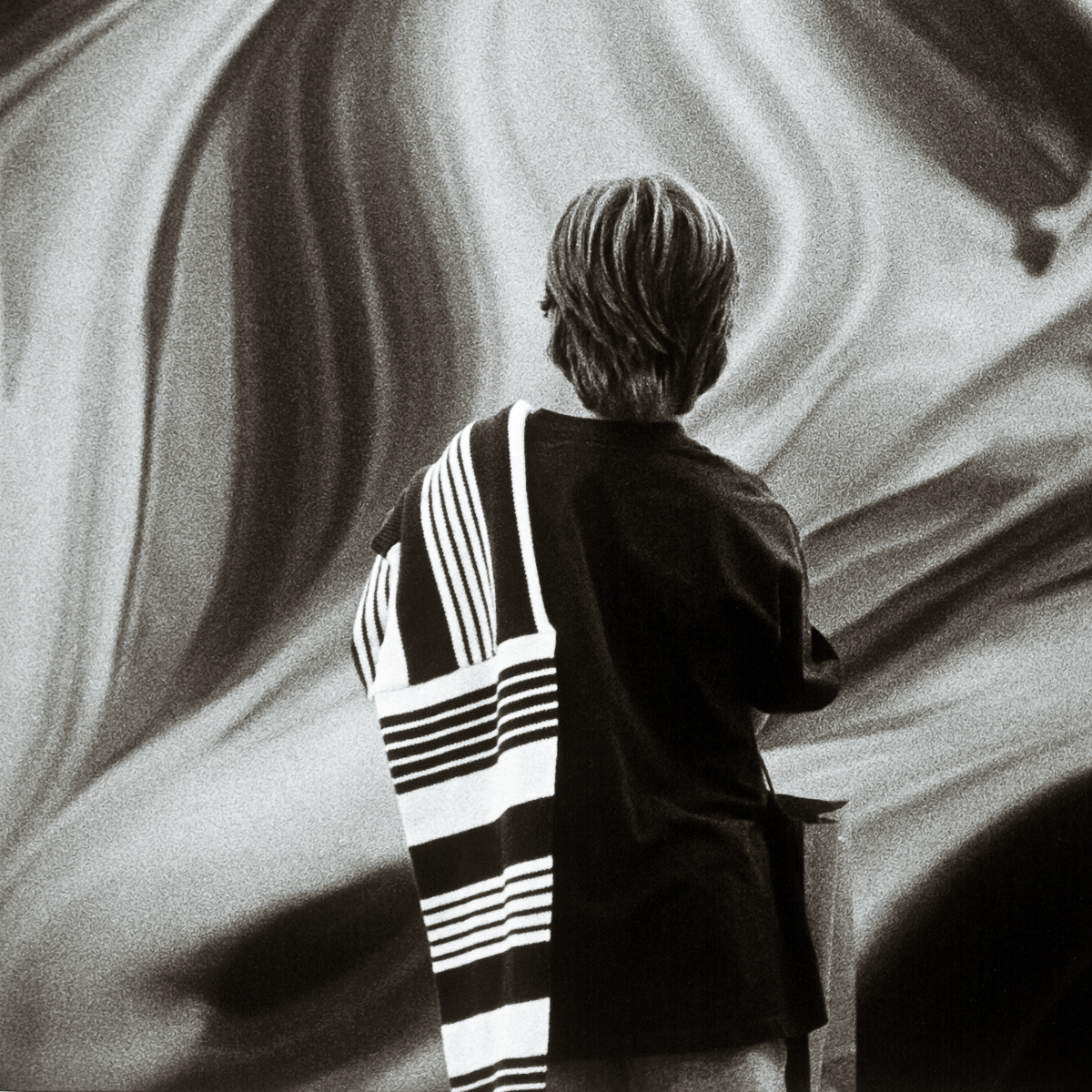  VH series individual prints 