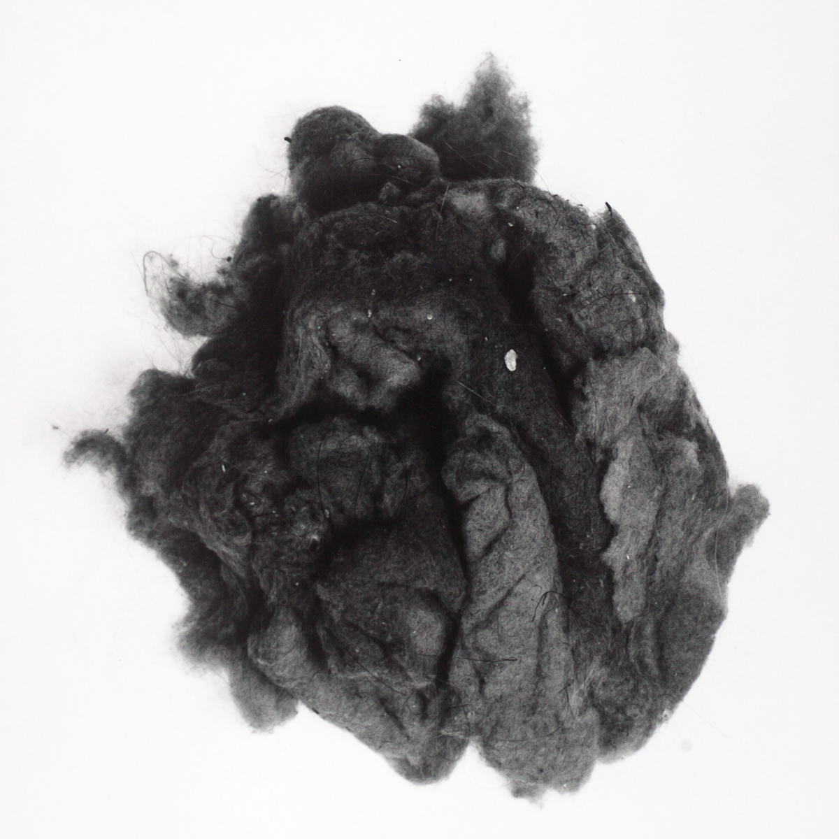  VH series individual prints 