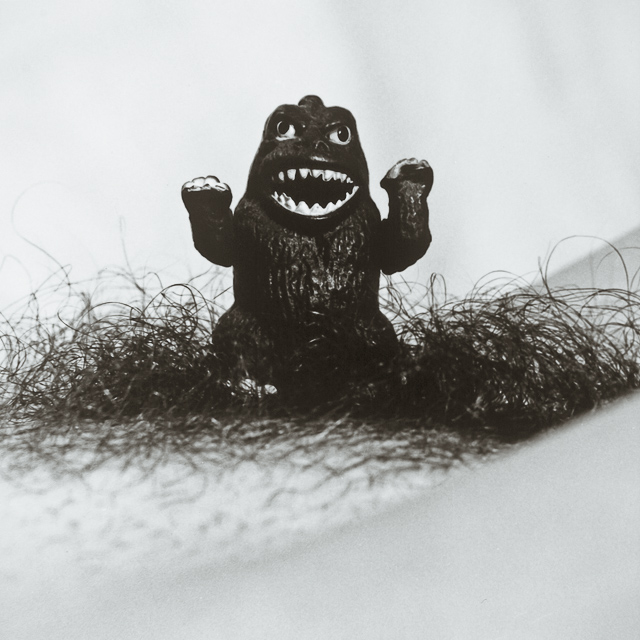  VH series individual prints 