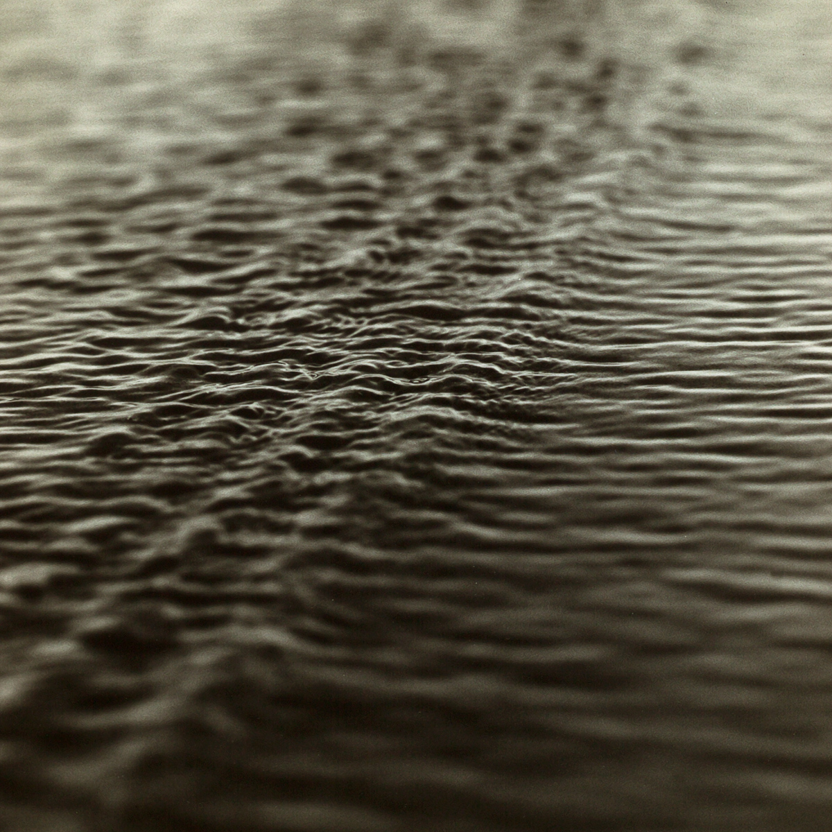  VH series individual prints 