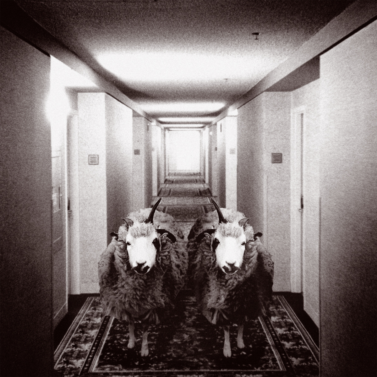  VH series individual prints 