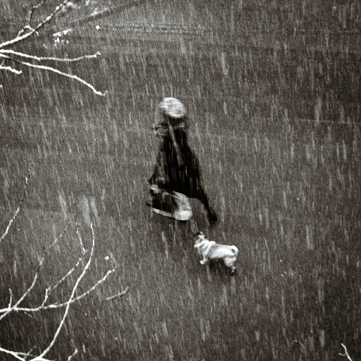  VH series individual prints 