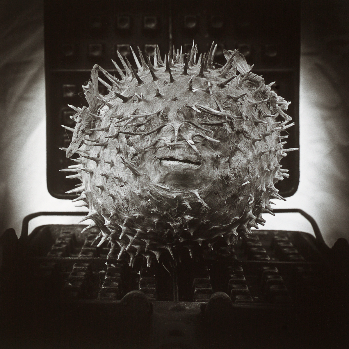  VH series individual prints 