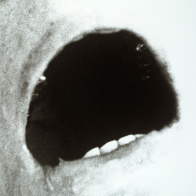  VH series individual prints 