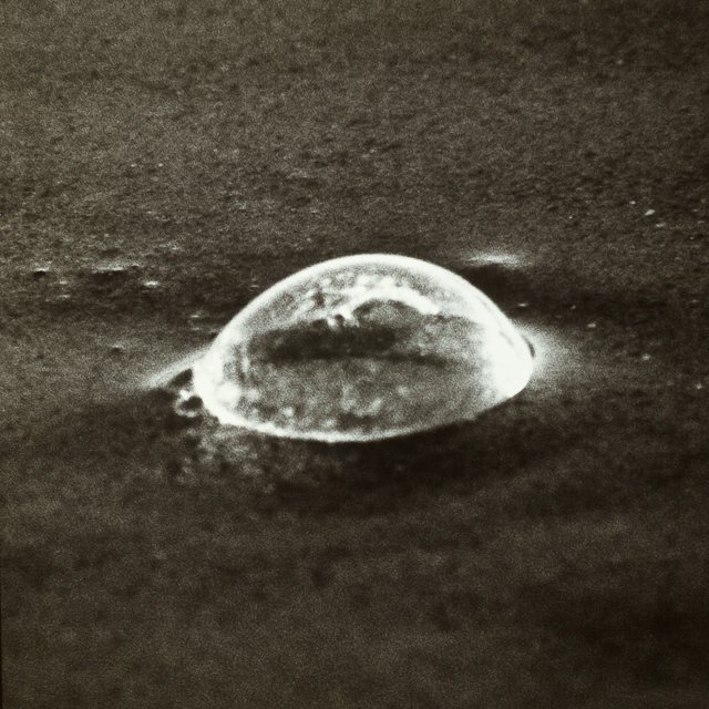  VH series individual prints 