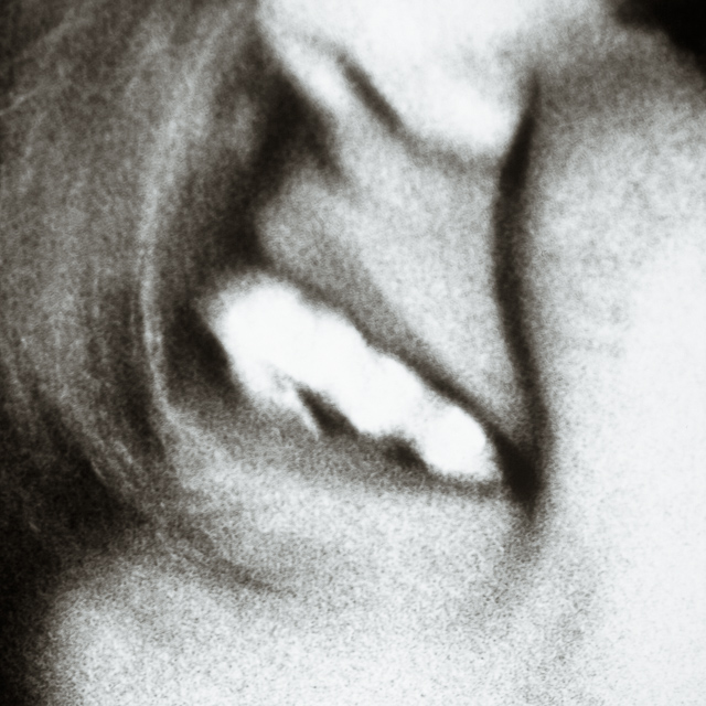  VH series individual prints 