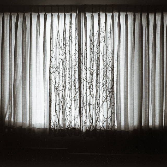  VH series individual prints 